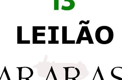 LEILÃO - Área número 10 desmembrada da propriedade  “Gleba Sul da Estrada das Videira - 30.10.2025