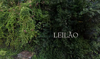 LEILÃO - R. Jorn. Antônio Rodrigues da Costa, 349 - Itaipu - 12.11.2025